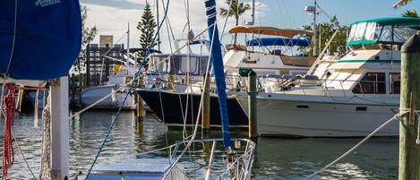 A marina with several boats docked, featuring masts, sails, and various boat structures.