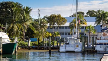 A marina with boats docked, surrounded by palm trees and a building with a white facade.