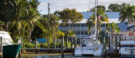 A marina with boats docked, surrounded by palm trees and a building with a white facade.