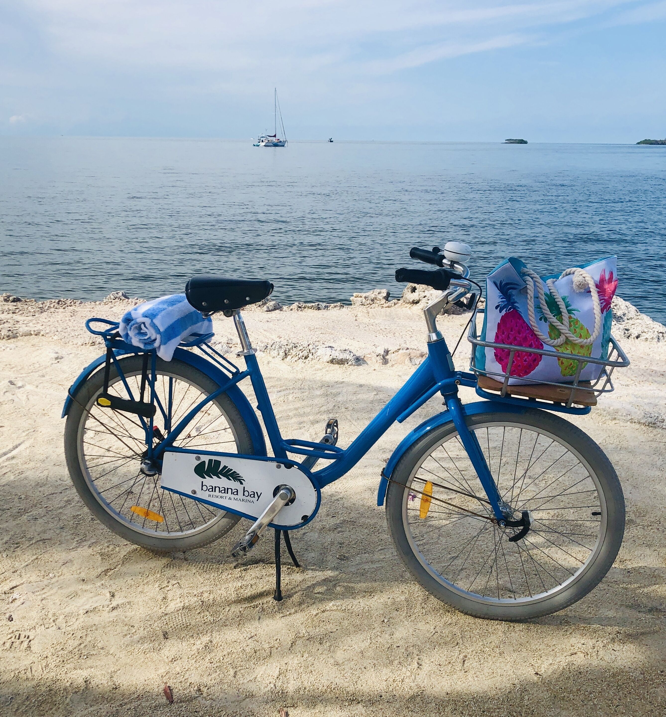Ciclismo