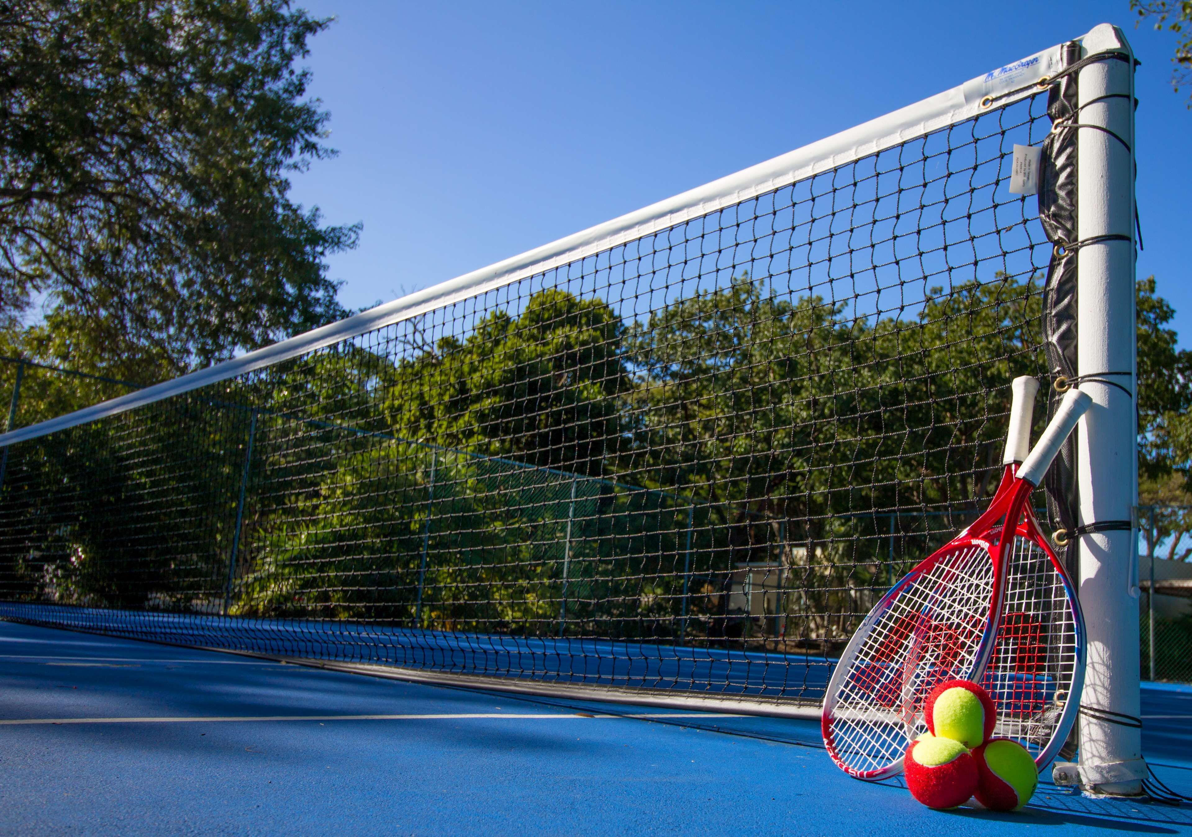 Una cancha de tenis con red, raquetas y pelotas.