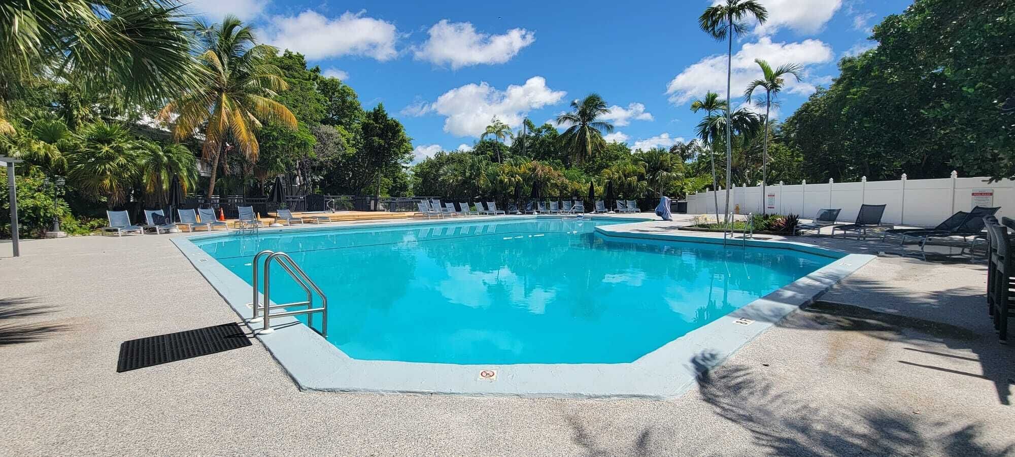 Une piscine rectangulaire avec un escalier en métal sur un côté, entourée de chaises longues et de palmiers.
