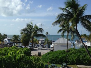 View from room