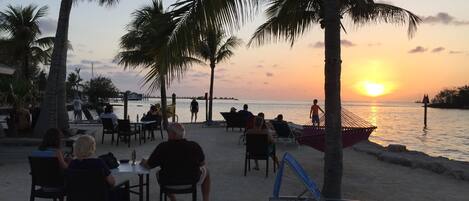 A beachside restaurant with outdoor seating, palm trees, and a view of the sunset over the ocean.