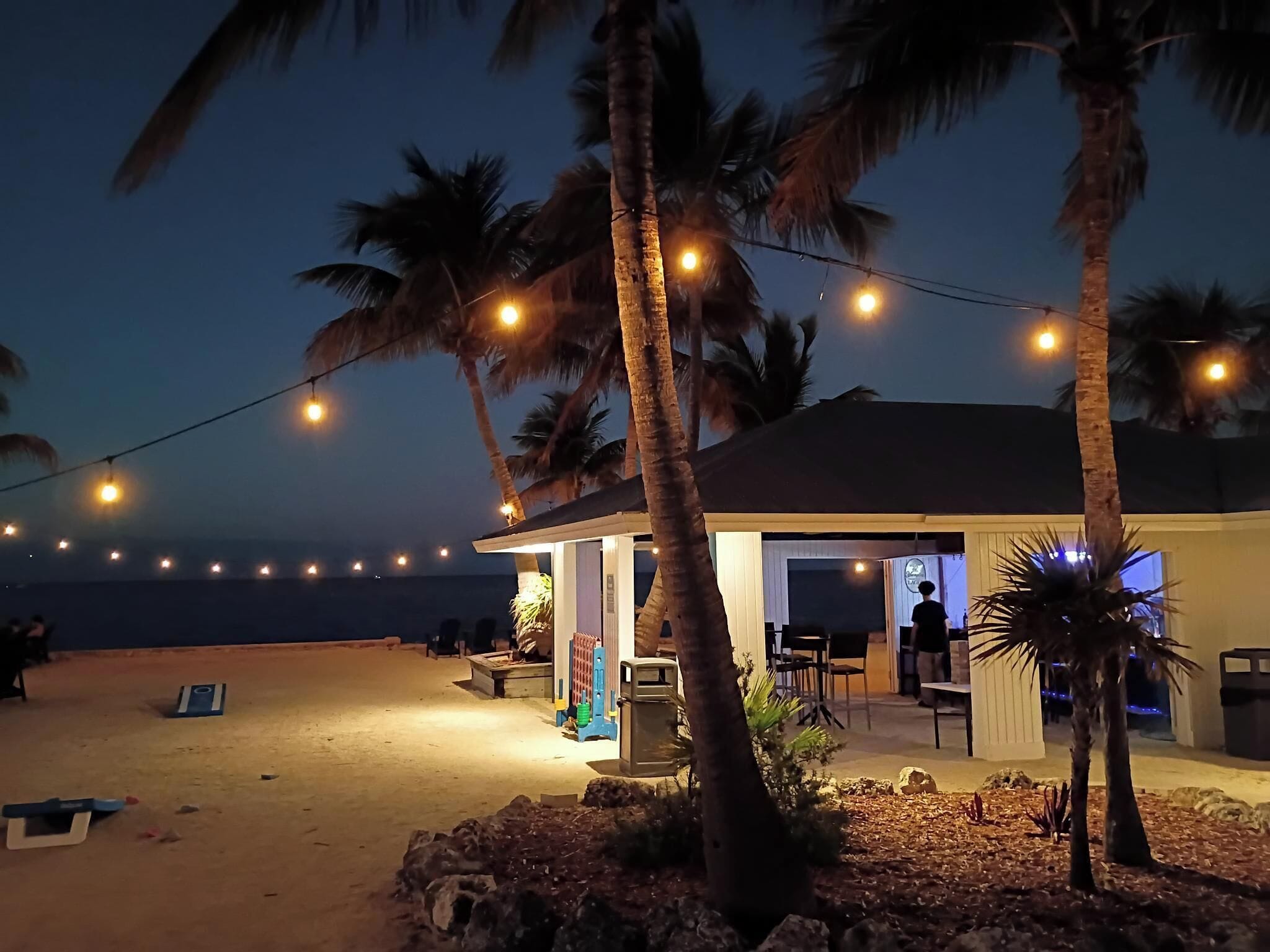 海洋景；於指定日期營業