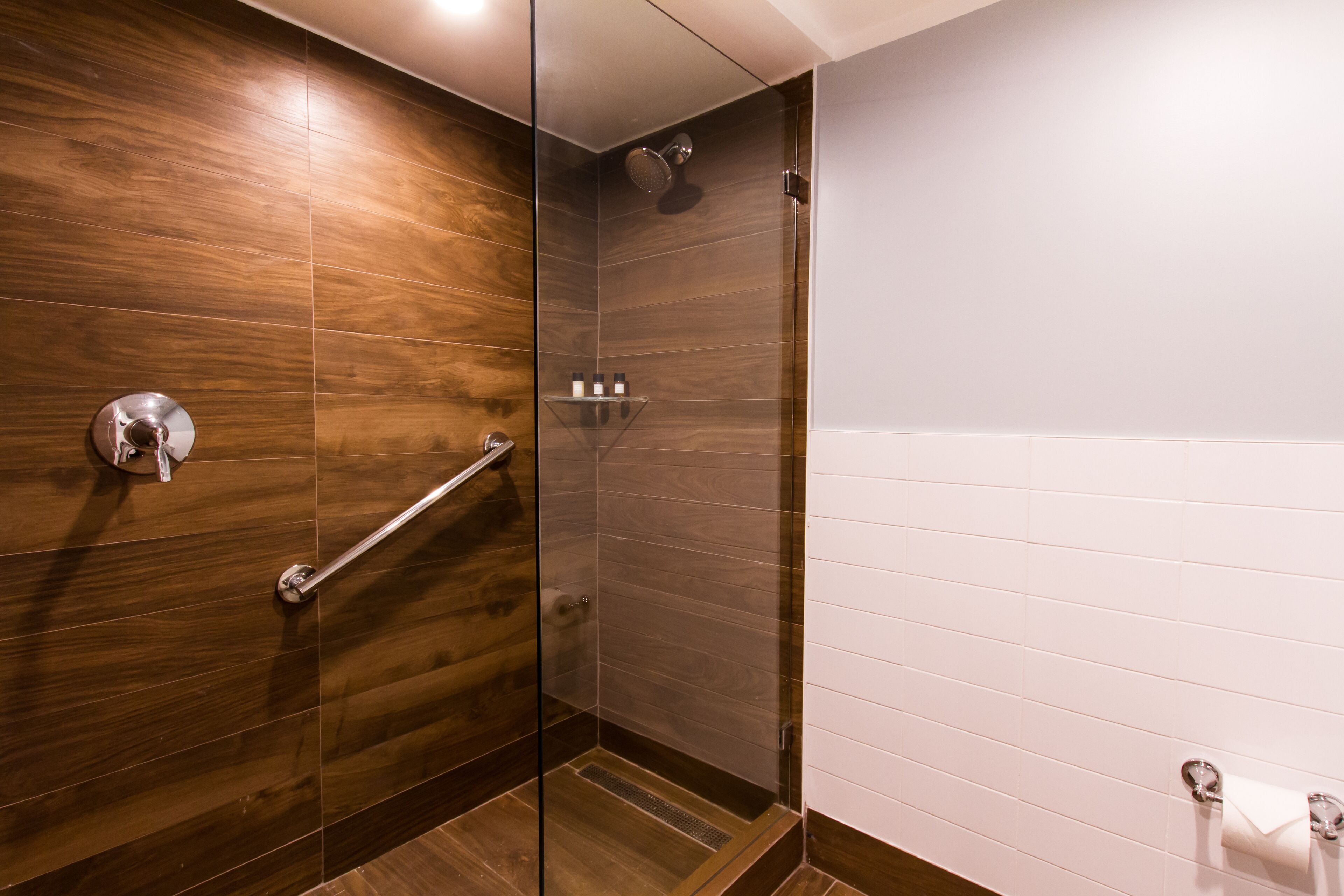 Shower, rainfall showerhead, free toiletries, hair dryer