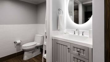 A modern bathroom with a toilet, sink, and mirror.
