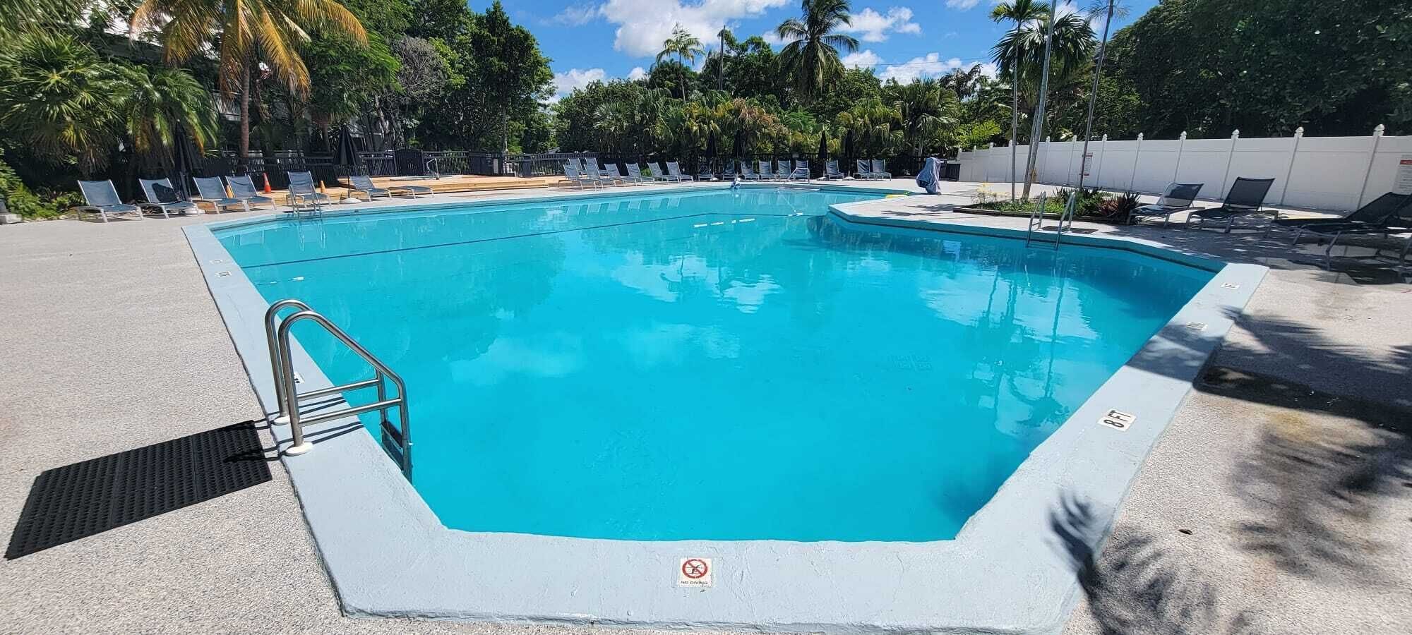A rectangular swimming pool with a metal ladder on one side, surrounded by lounge chairs and palm trees.