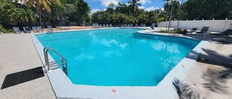 A rectangular swimming pool with a metal ladder on one side, surrounded by lounge chairs and palm trees.