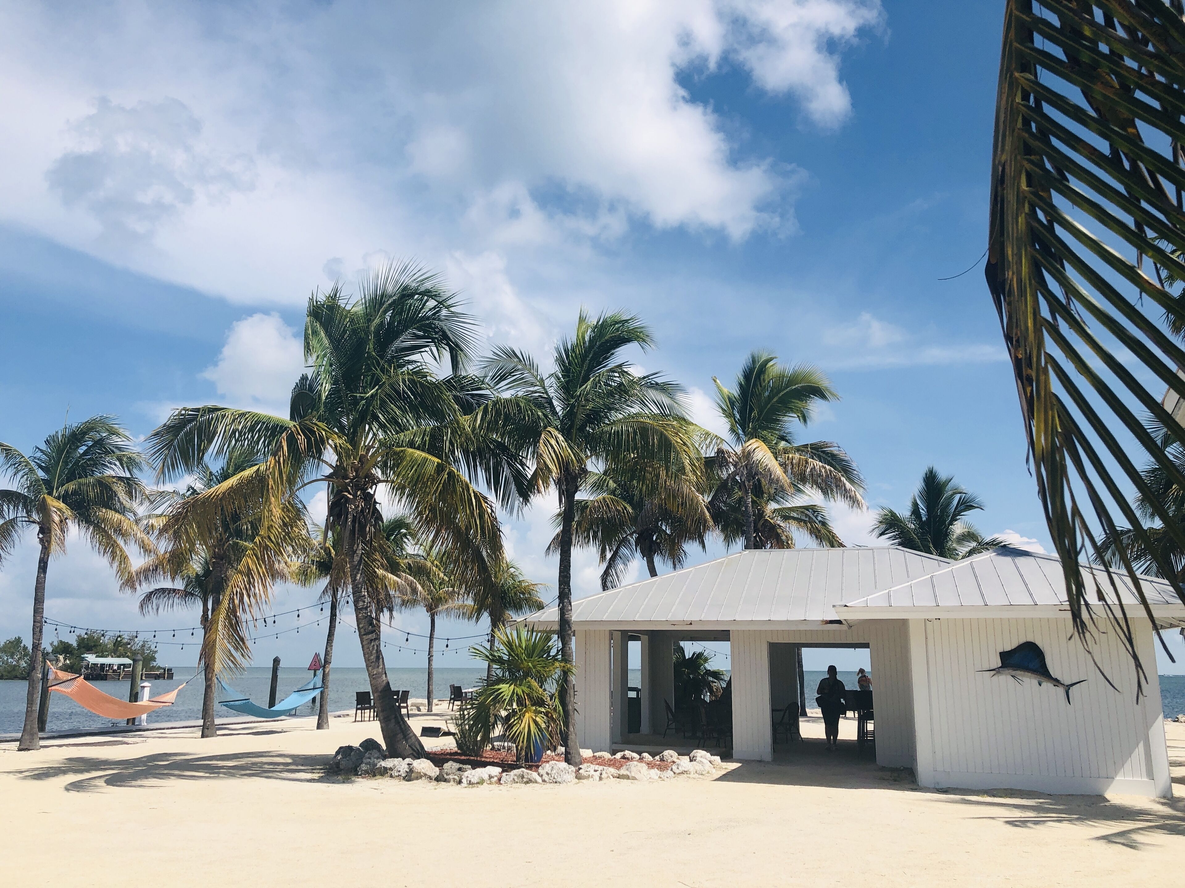 A beachside structure with a covered seating area, palm trees, and a view of the sea.