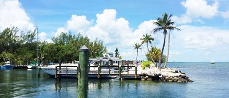 A marina with boats docked, a dock extending into calm waters, and a small island with palm trees.