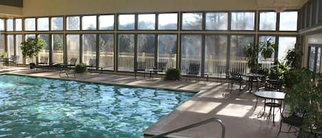 Indoor pool, open 8:00 AM to 8:00 PM, pool loungers