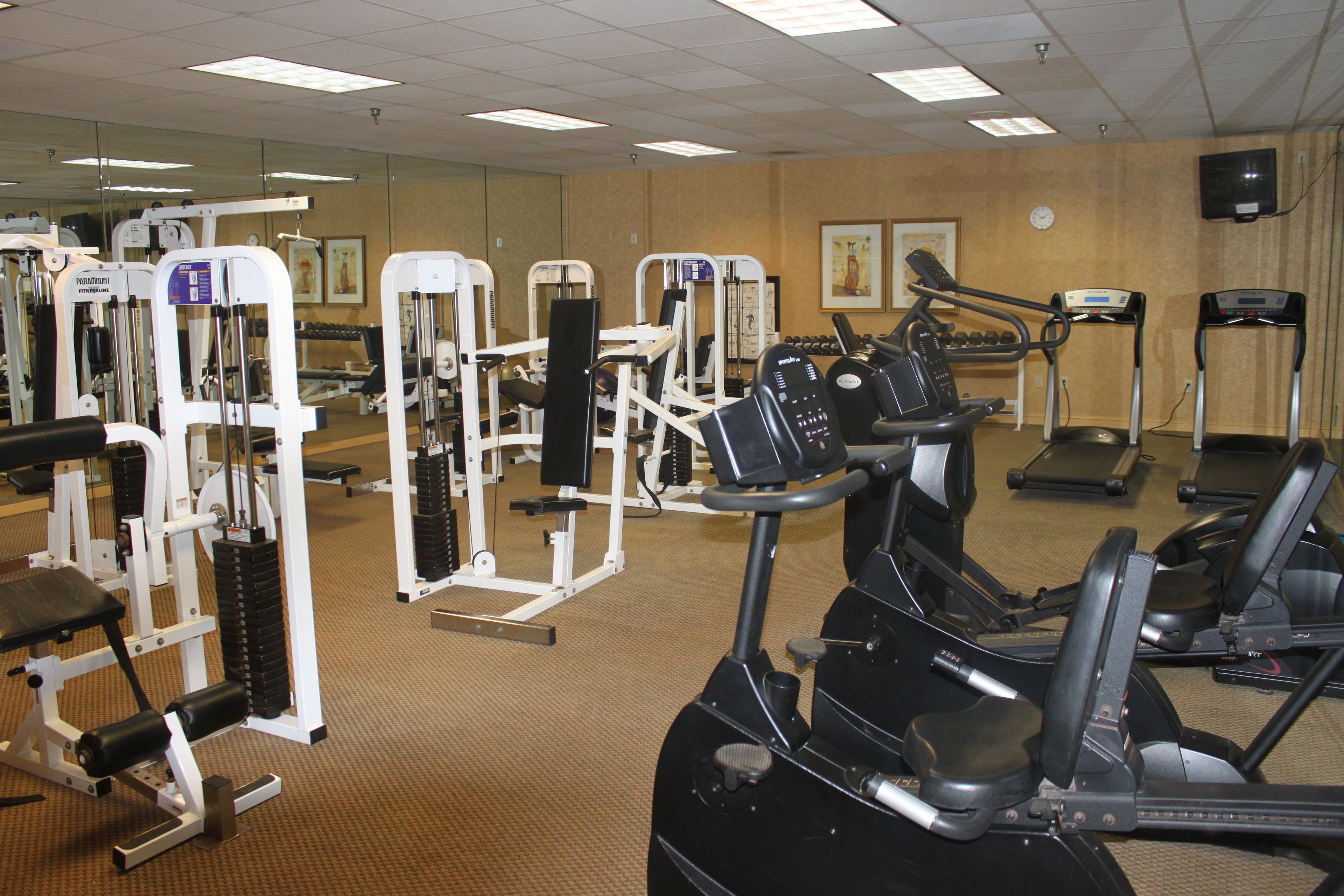 Une salle de sport équipée de divers appareils d’exercice, notamment des tapis de course, des vélos elliptiques et des appareils de musculation.