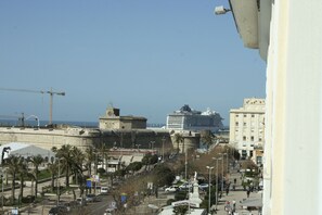 Vista desde la propiedad