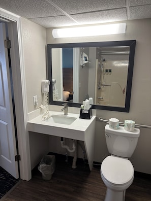 Room, 1 Queen Bed, Mobility Accessible, Non Smoking (First Floor, Building Two) | Bathroom | Combined shower/tub, hair dryer, towels