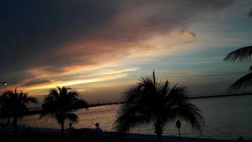 A sunset over a body of water with palm trees and a walkway.