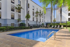 Una piscina con borde de baldosas, rodeada de palmeras y un edificio con varias ventanas.