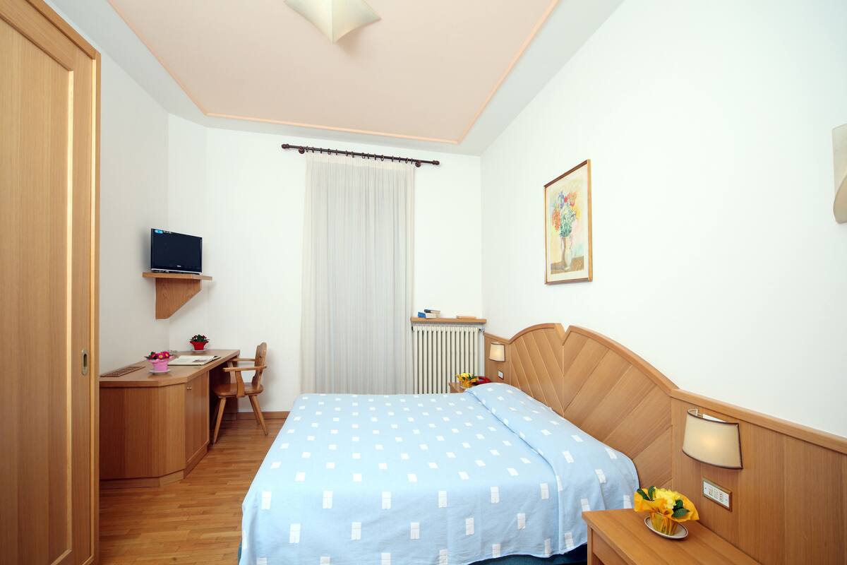 A hotel room with a bed, a desk, a chair, a TV, a radiator, and a painting on the wall.