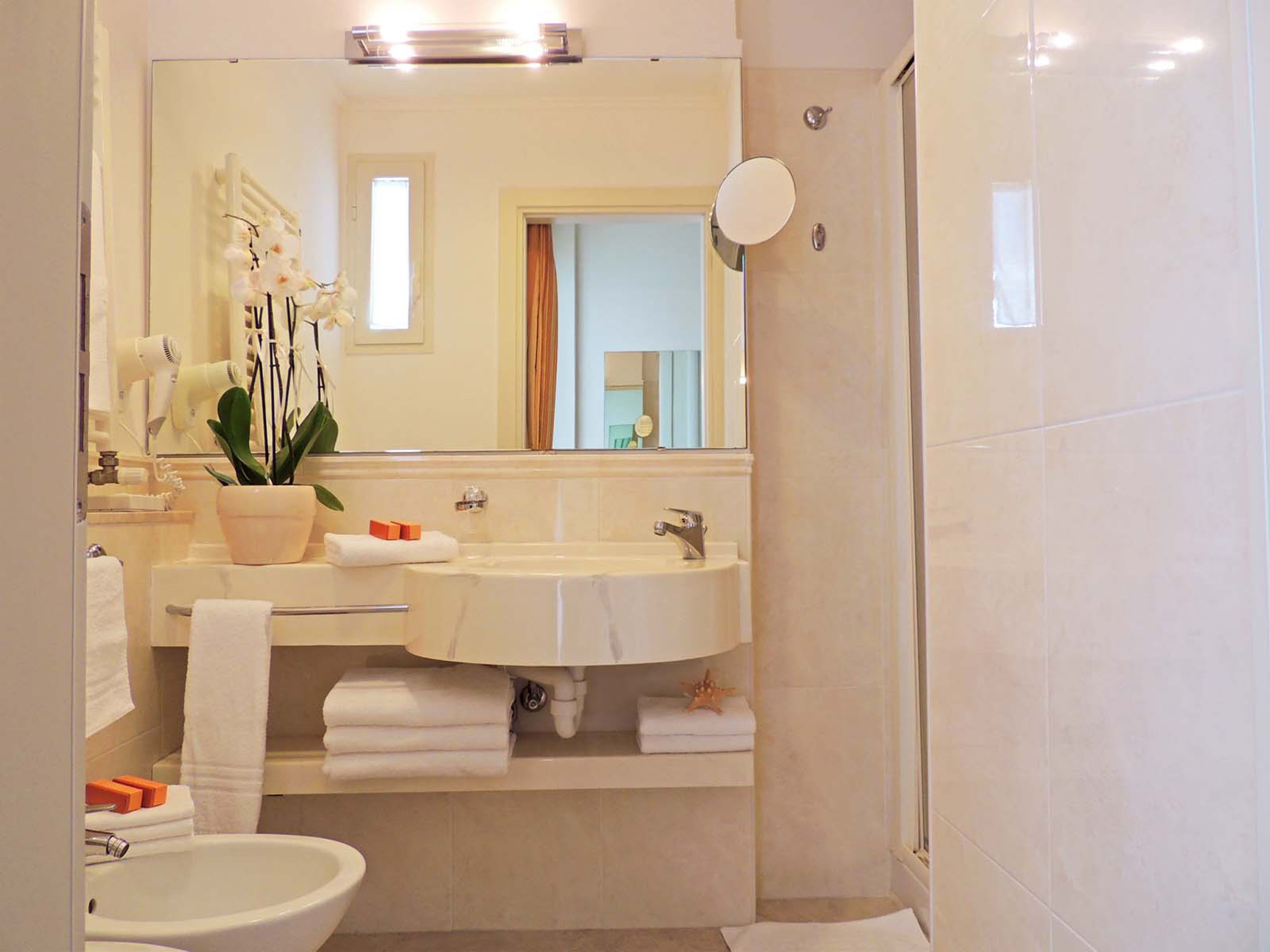 shower, free toiletries, hair dryer, bidet