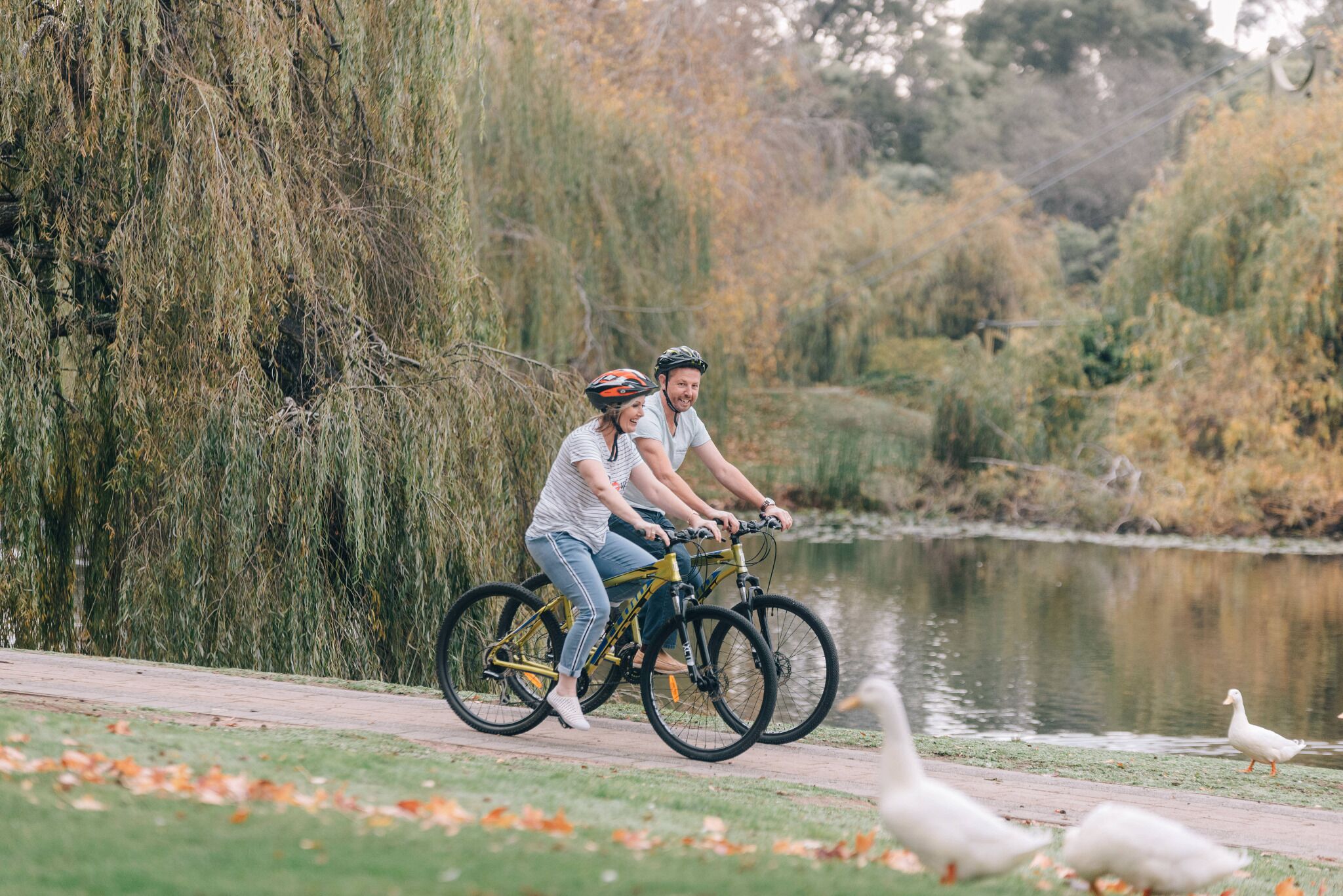 Deux personnes font du vélo sur un chemin qui longe un plan d’eau, avec des canards au premier plan.