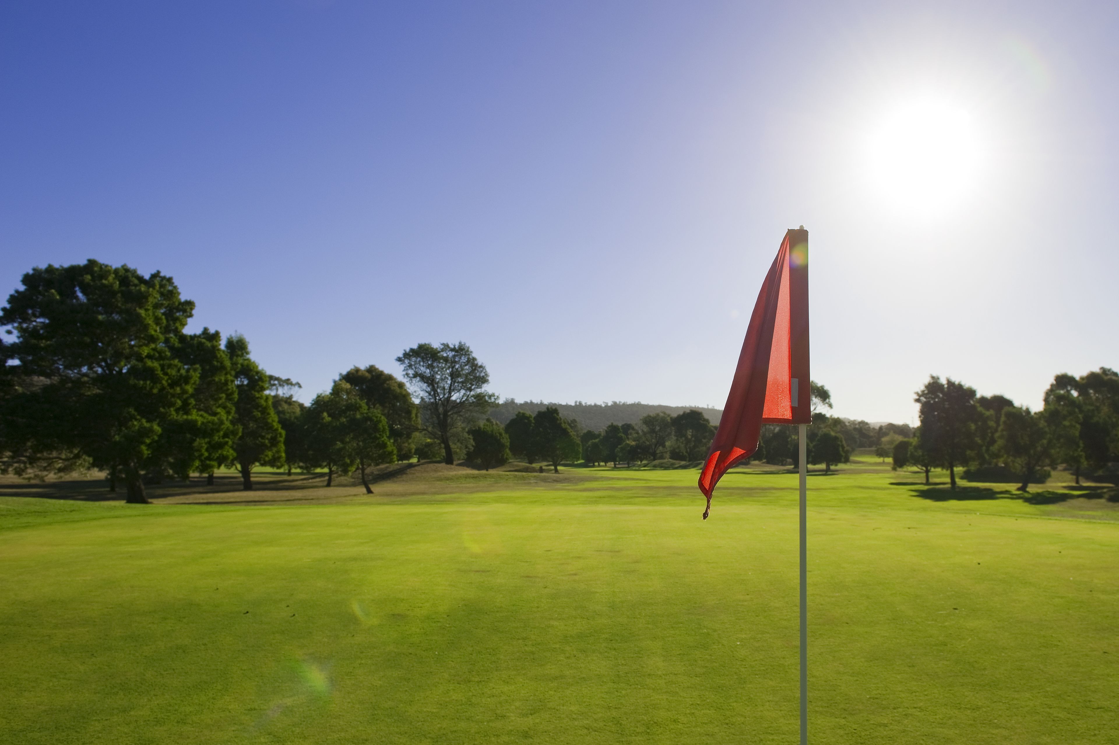 Country Club Villas — image 23