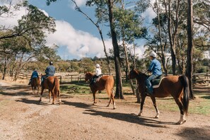 Équitation