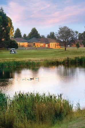 Una casa con un estanque, patos y un carrito de golf.