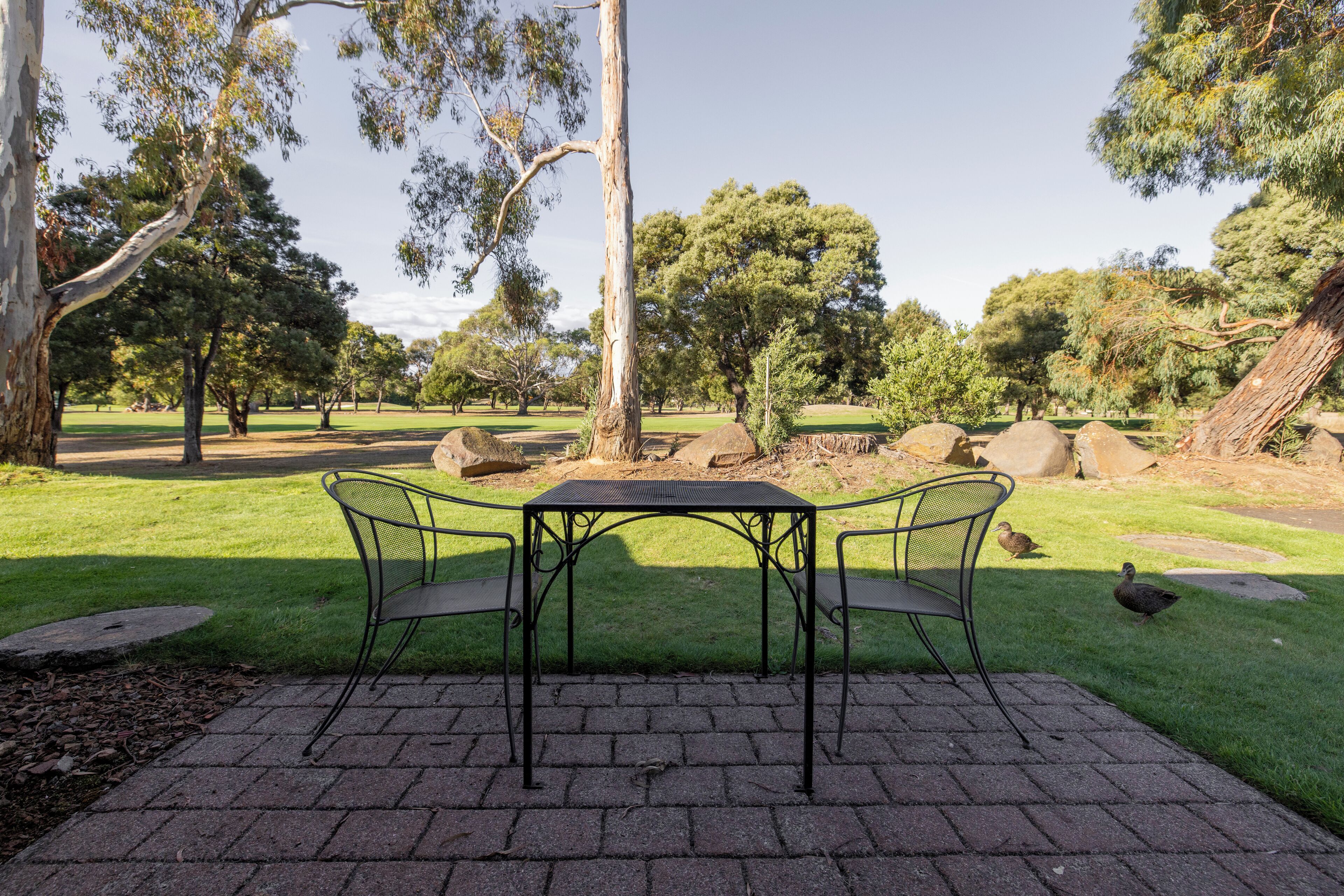 Un patio empedrado con una mesa y sillas de metal, rodeado de césped y árboles.