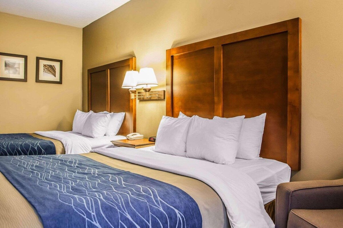 A hotel room with two beds, a wooden headboard, a nightstand with a lamp, and framed pictures on the wall.