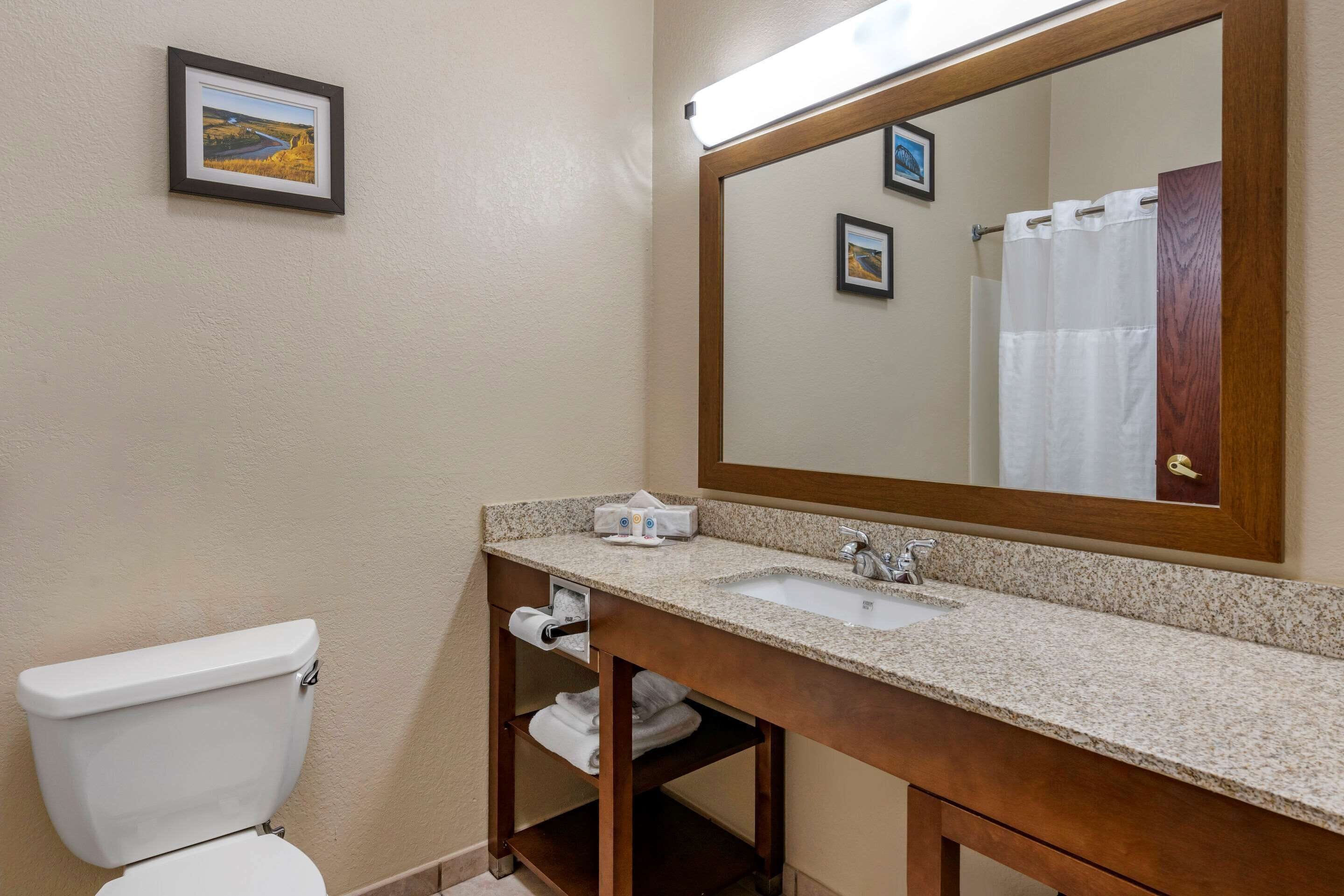 Une salle de bain équipée de toilettes, d’un lavabo, d’un miroir et d’un rideau de douche.