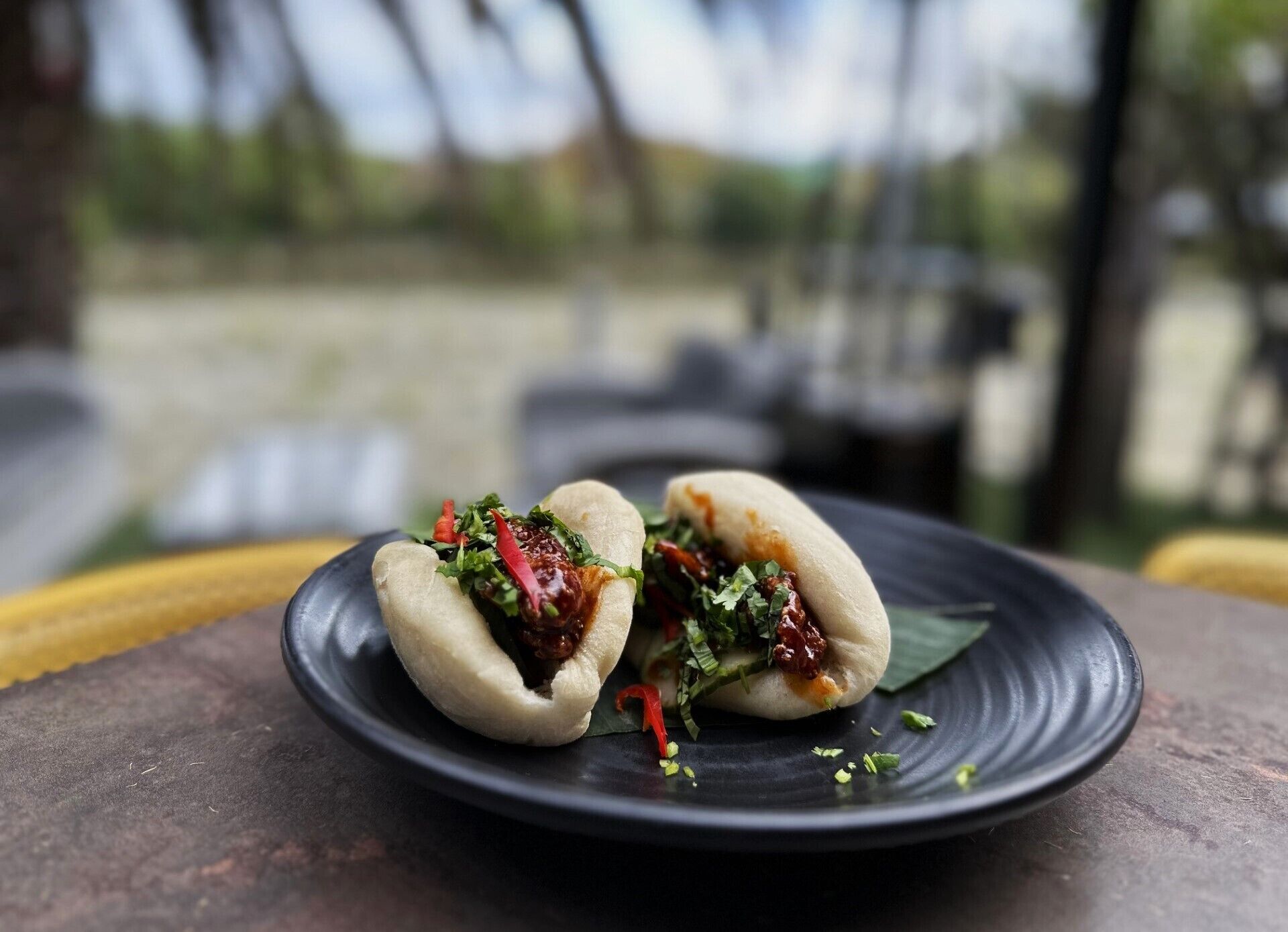 Two steamed buns on a dark plate with a blurred outdoor background.