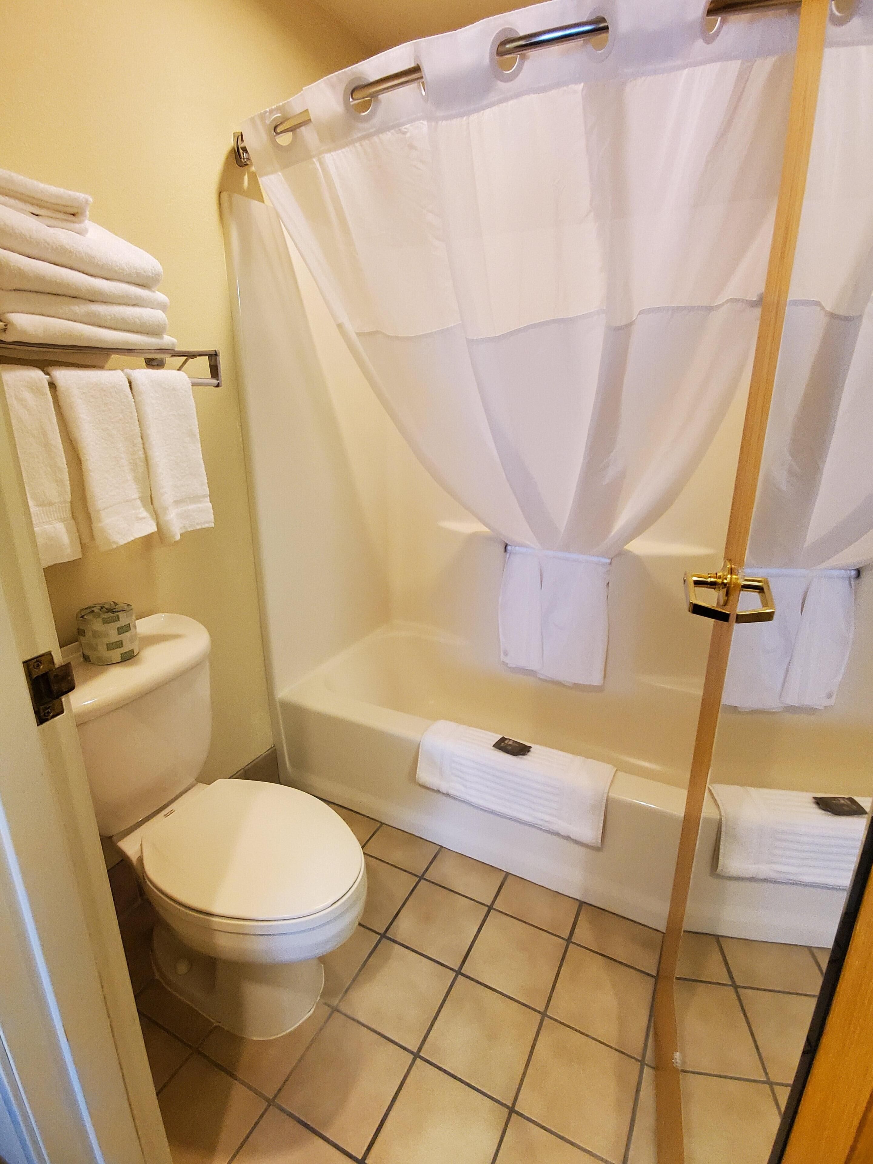 suite, 1 bedroom, non smoking | bathroom | combined shower/bathtub, free toiletries, hair dryer, towels