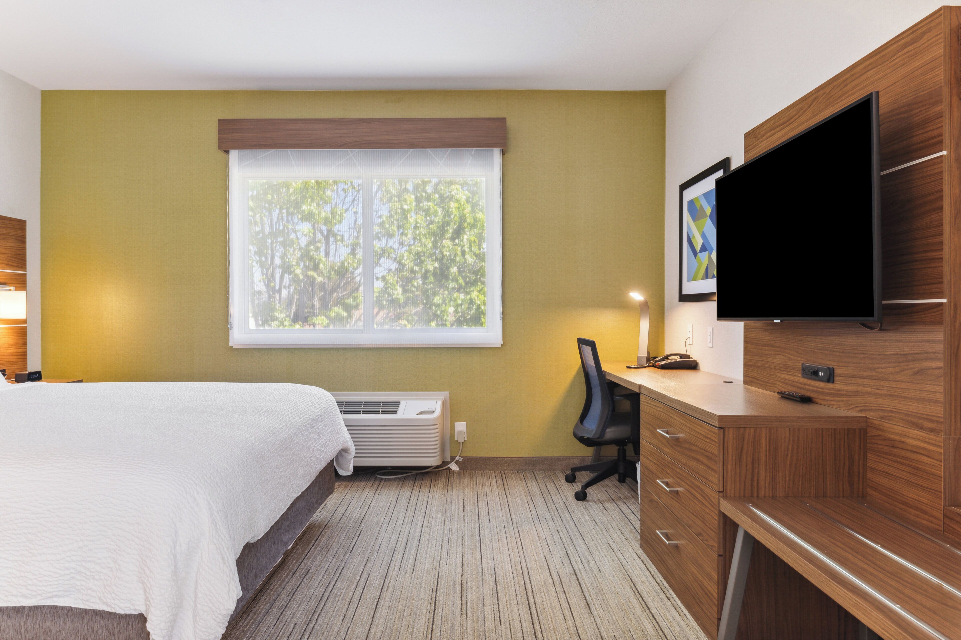 Habitación de hotel con cama, escritorio, silla, televisión de pantalla plana y ventana con vistas a árboles.