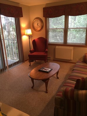 Fireplace, books, video library