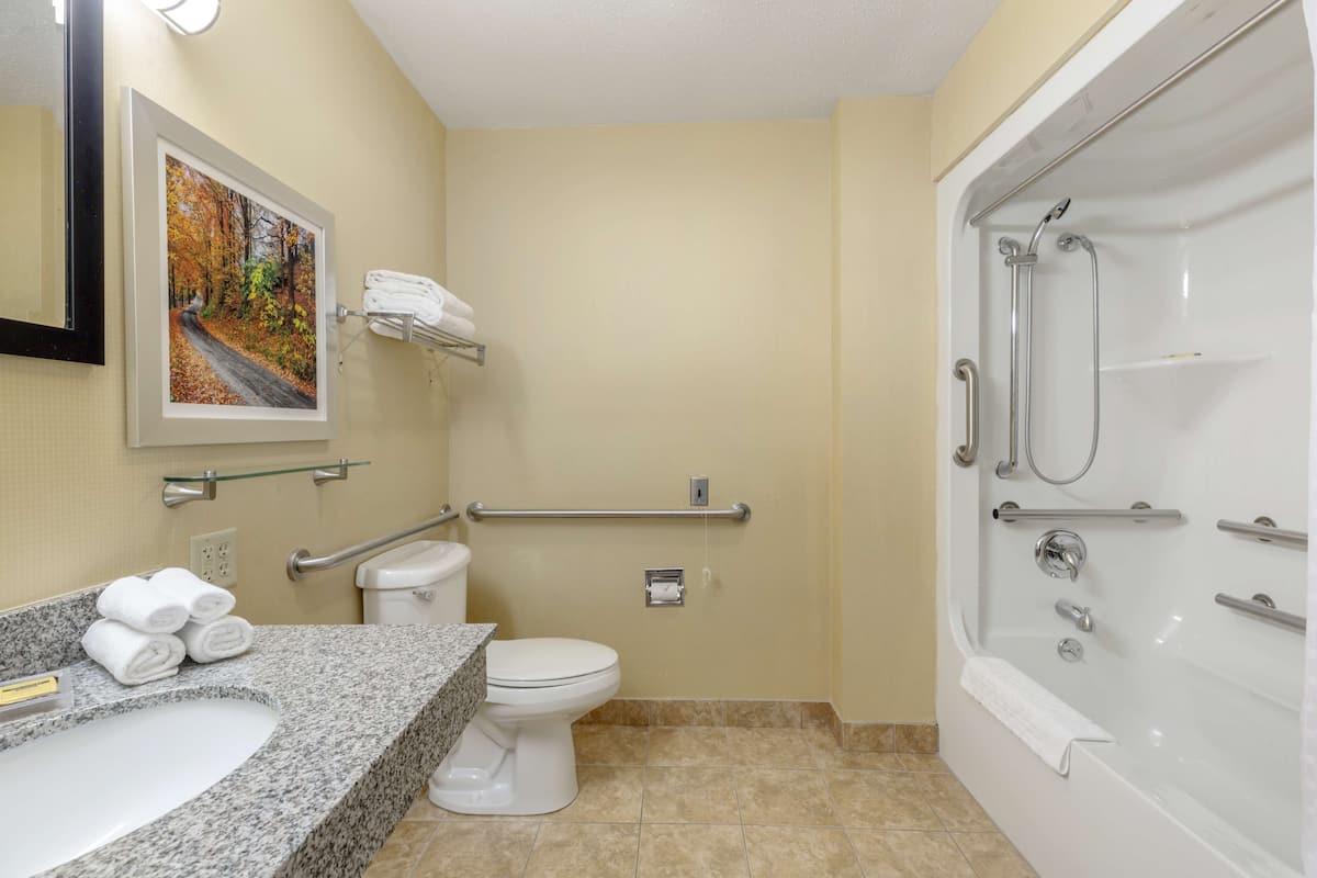 Combined shower/tub, free toiletries, hair dryer, towels