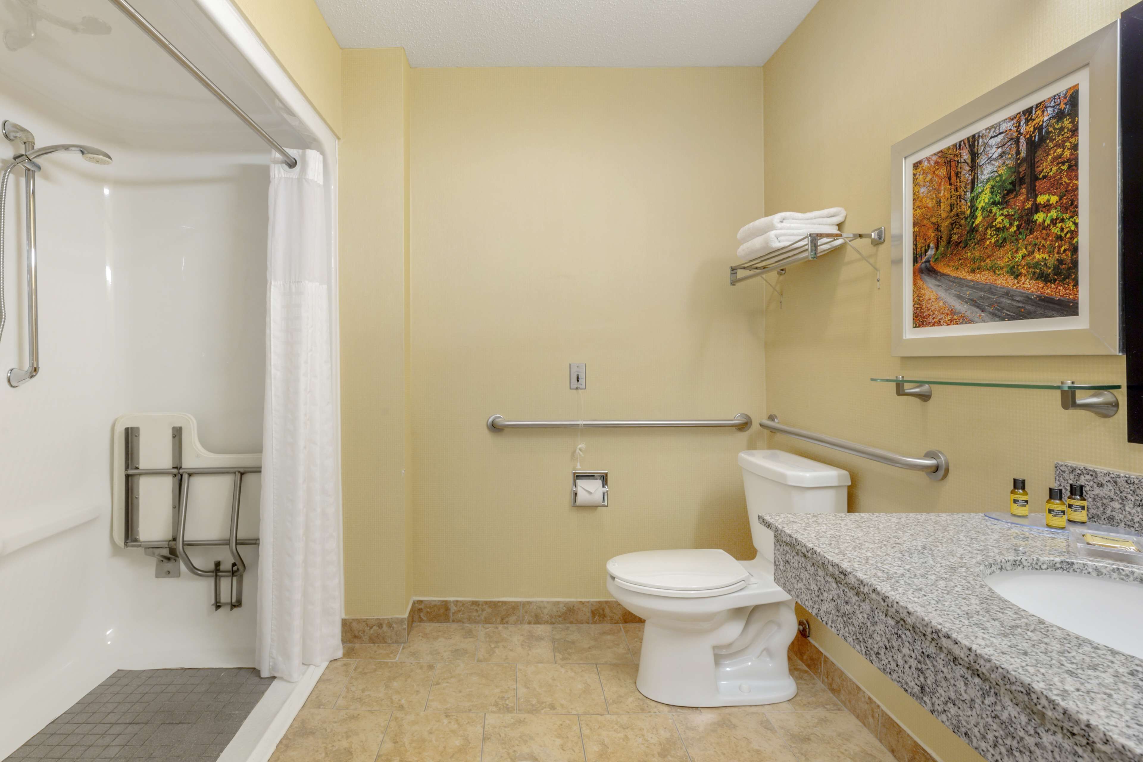 standard room, 1 king bed, accessible, non smoking | bathroom | combined shower/bathtub, free toiletries, hair dryer, towels