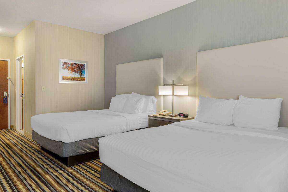 A hotel room with two beds, a bedside table with a lamp, a framed picture on the wall, and a striped carpet.