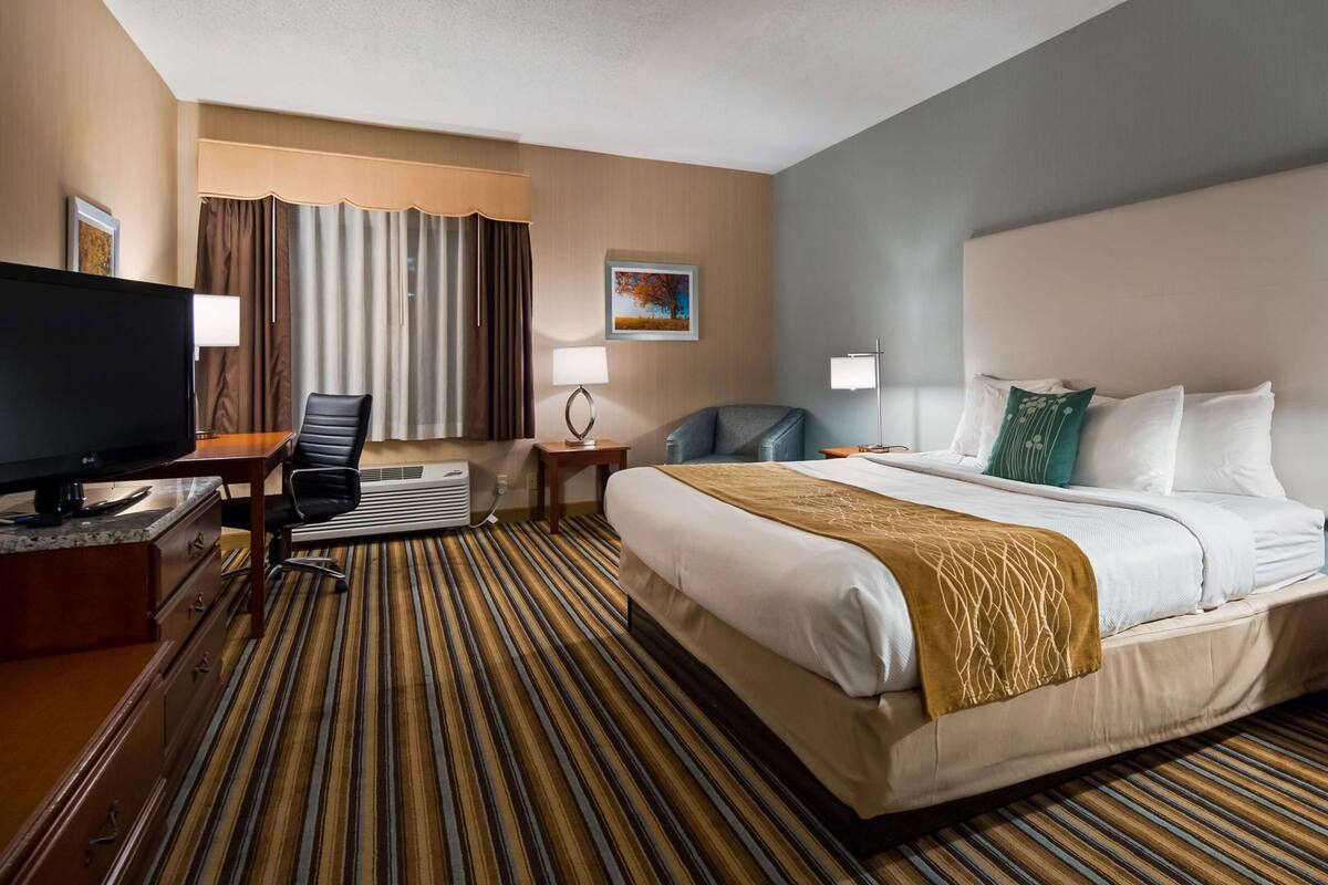 A hotel room with a bed, a desk with a TV, a chair, a lamp, and a picture on the wall.