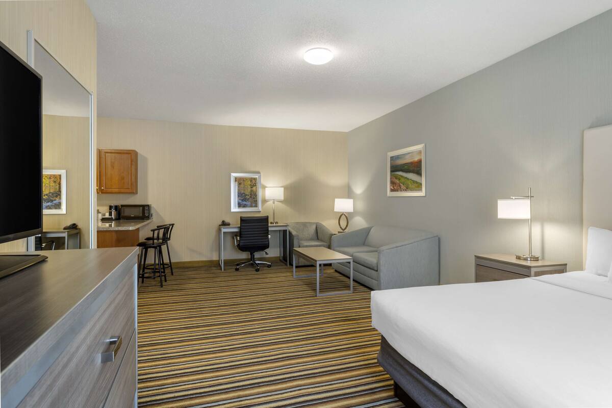 A hotel room with a bed, a desk with a chair, a sofa, a TV, a microwave, and a lamp.