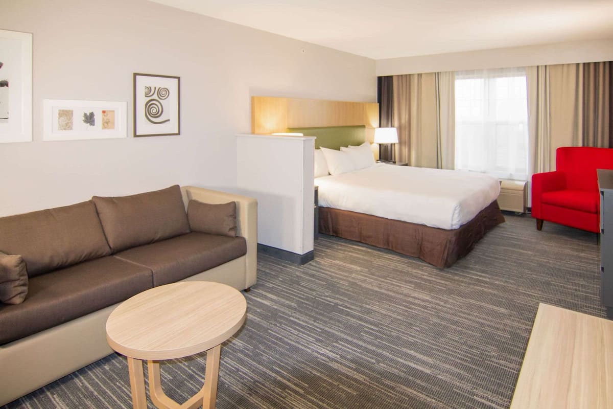A hotel room with a bed, a sofa, a desk, and a chair.