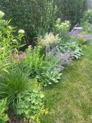Garden view