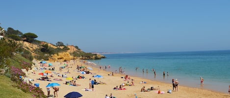 Nära stranden, vit sandstrand och fiske