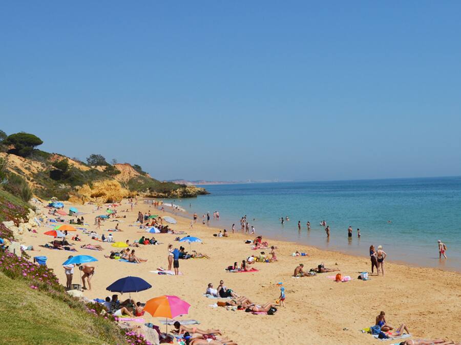 Beach nearby, white sand, fishing