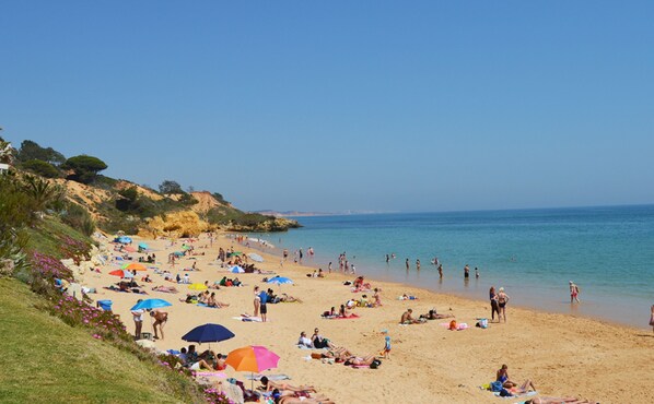 Plage à proximité, sable blanc, pêche récréative