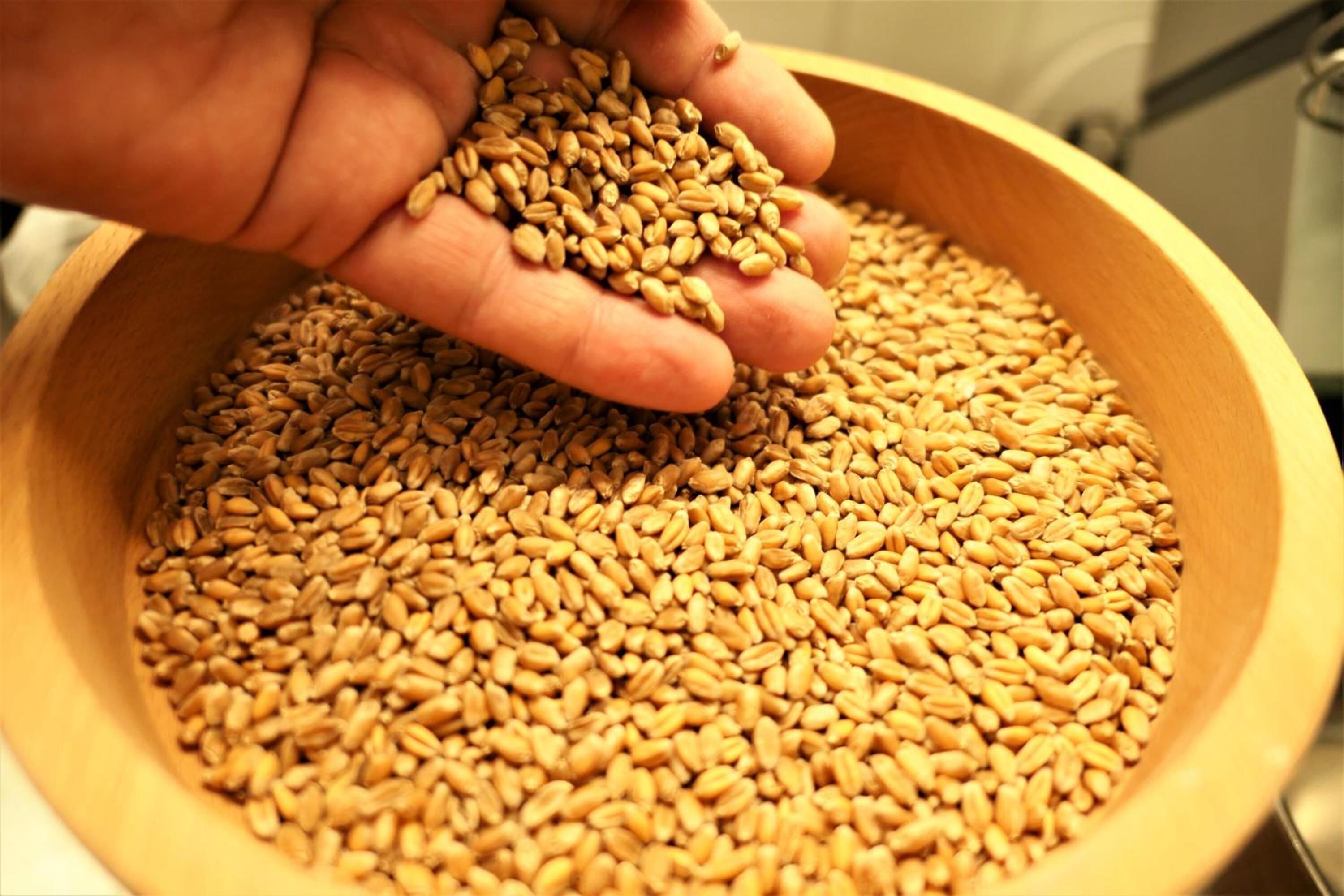 علاجات السبا