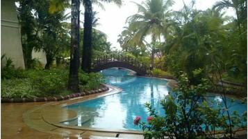 Una piscina de diseño curvo, rodeada de exuberante vegetación y palmeras.