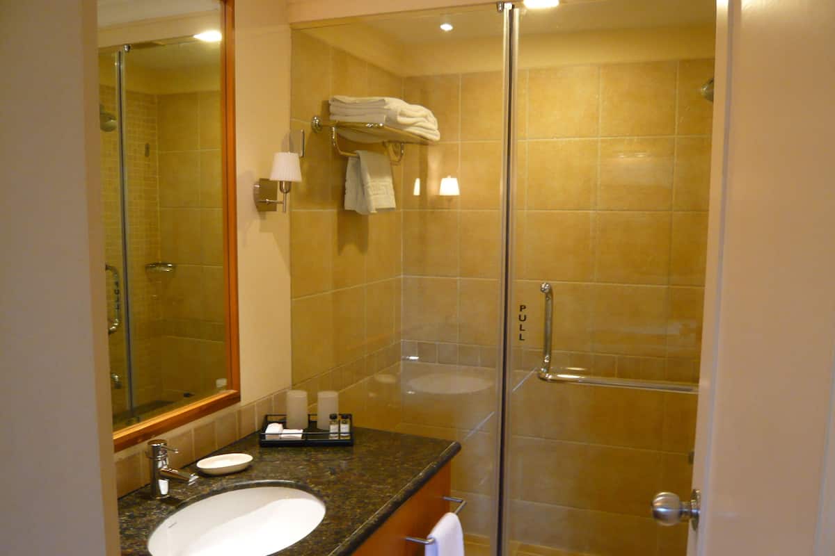 shower, rainfall showerhead, free toiletries, hair dryer