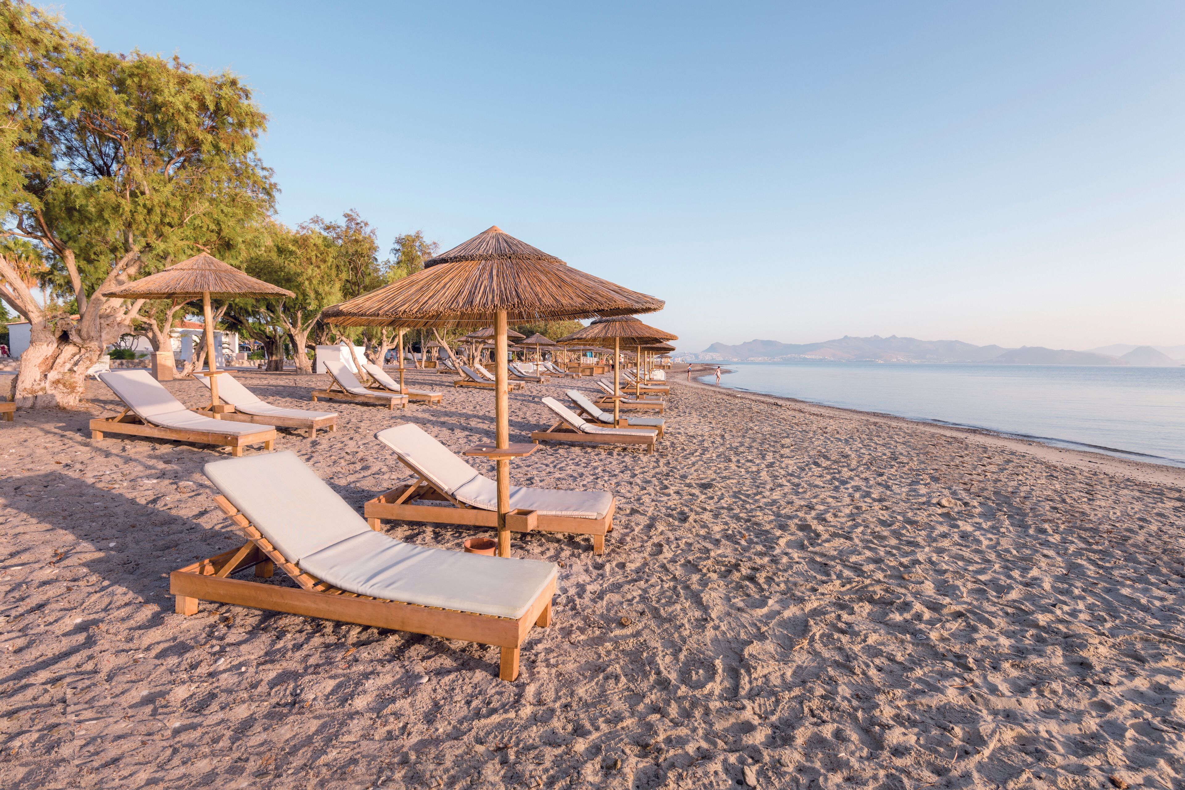 On the beach, sun-loungers, beach umbrellas, beach bar