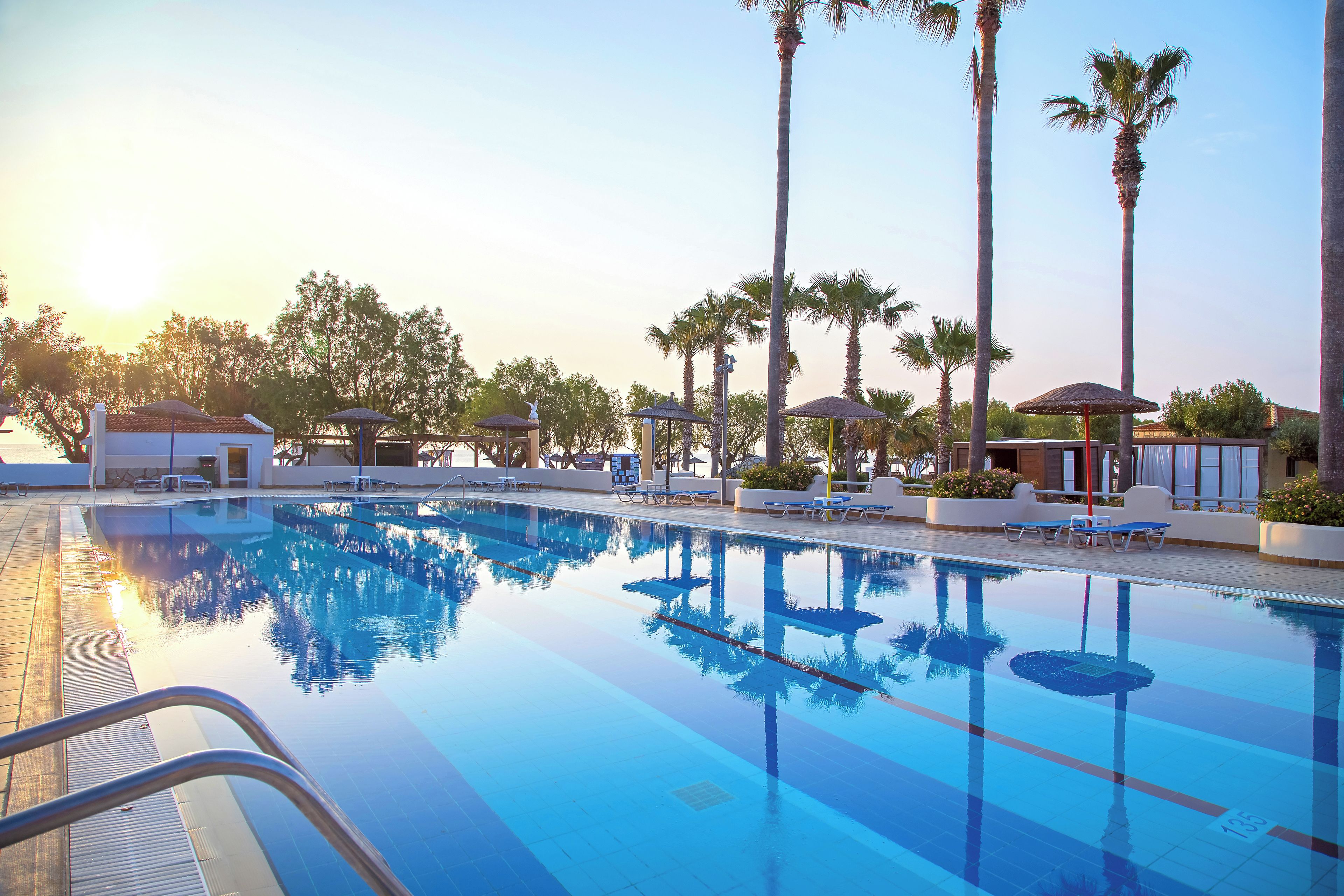 A swimming pool with lounge chairs and palm trees.