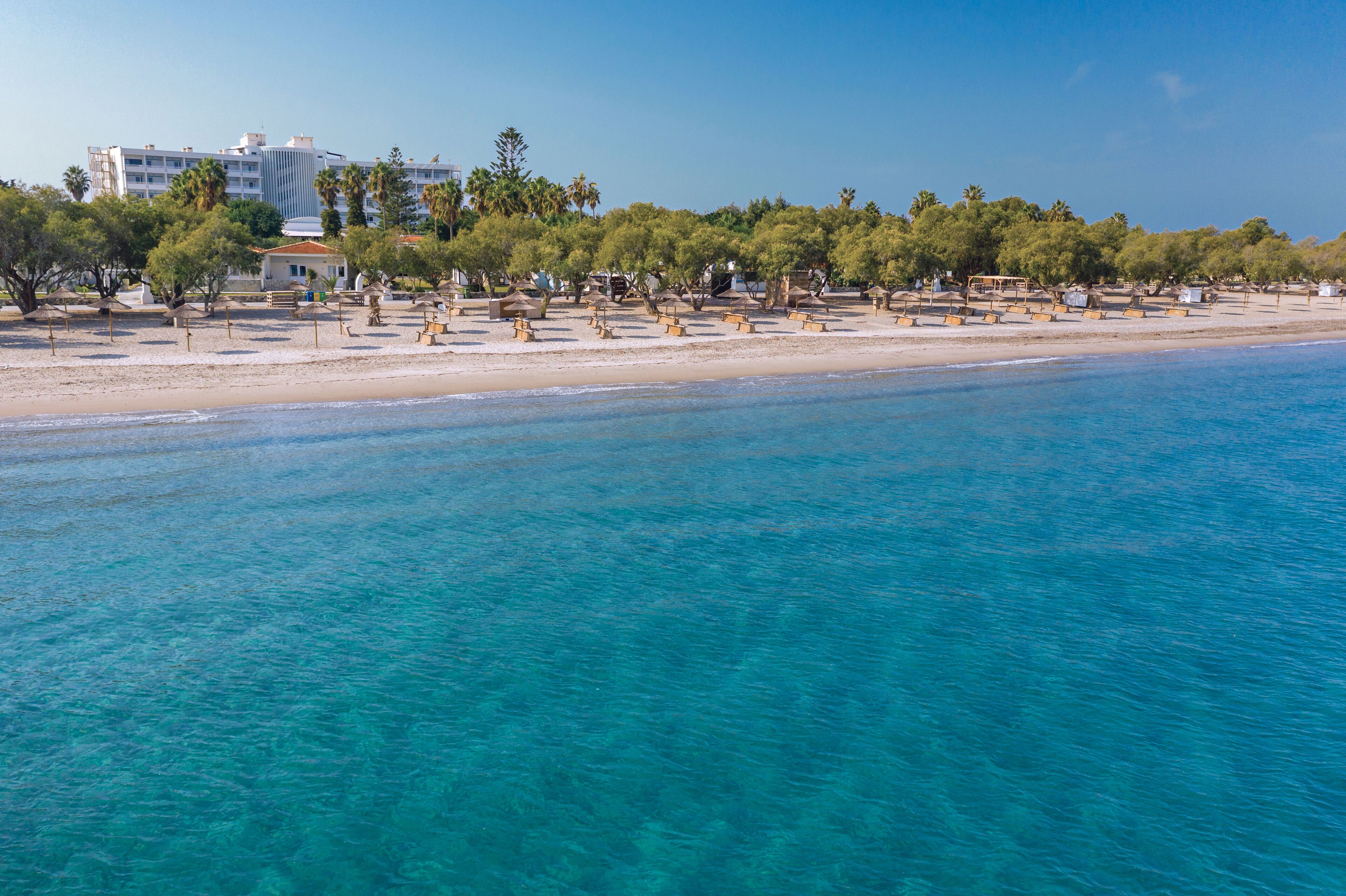 Una spiaggia con acque cristalline, una riva sabbiosa e una fila di alberi e lettini.
